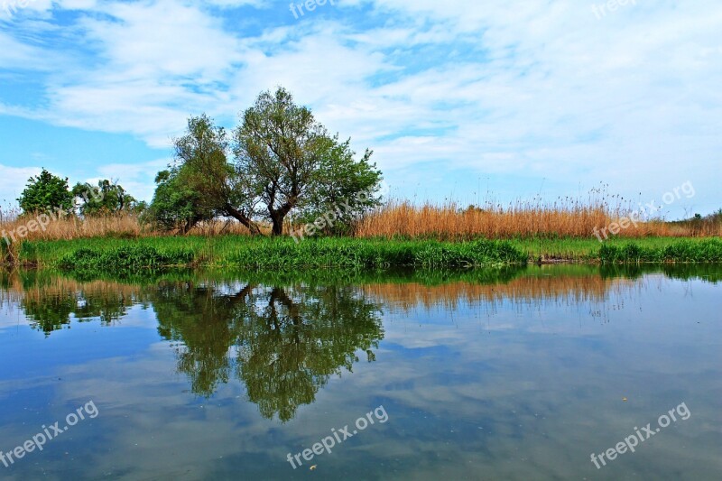 Reflection Nature Calm Natural Natural Beauty