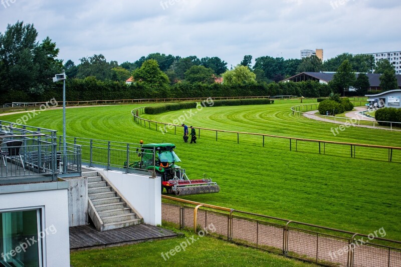 Racecourse Repair Lawn Lawn Work Rush Green