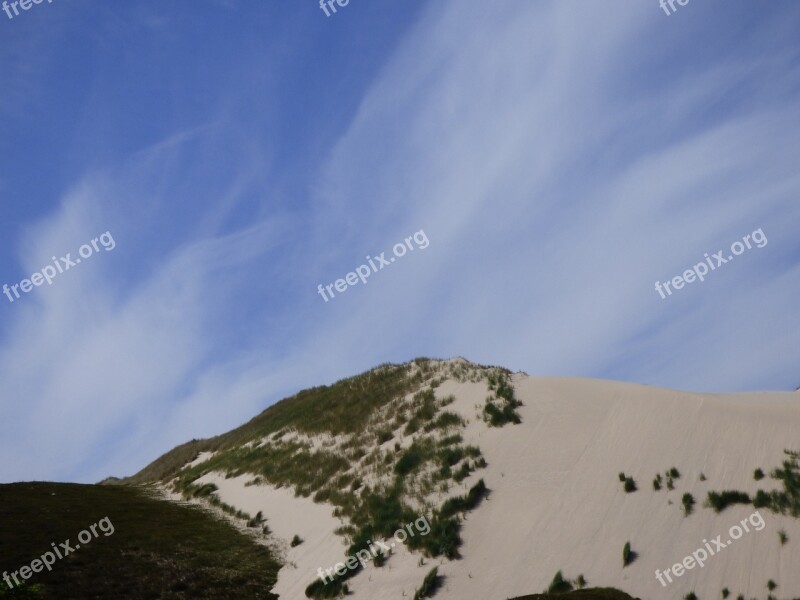 Sylt Dunes Dune Grasses North Sea