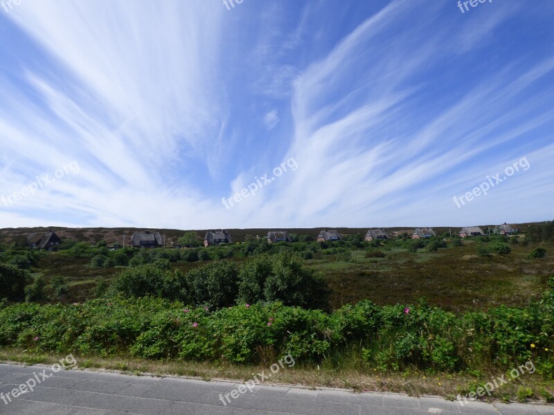 Sylt Kampen Dunes Island Summer