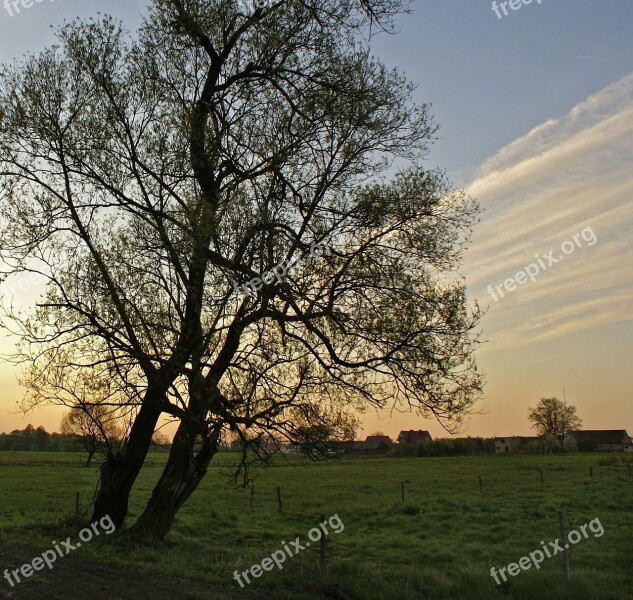 Tree Village Meadows View Poland