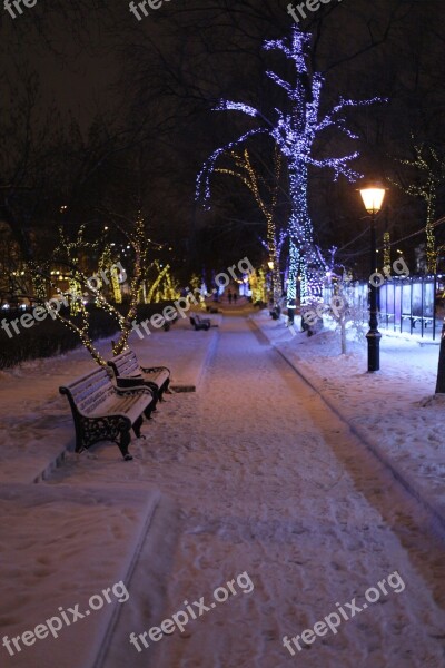 Park Winter Benches Cold Russia