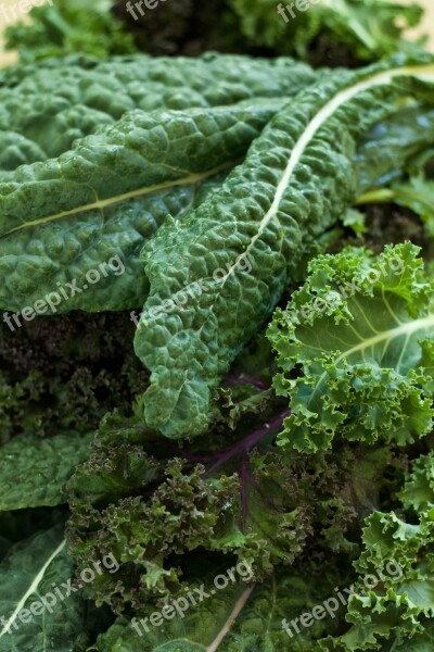 Vegetable Green Kale Free Photos