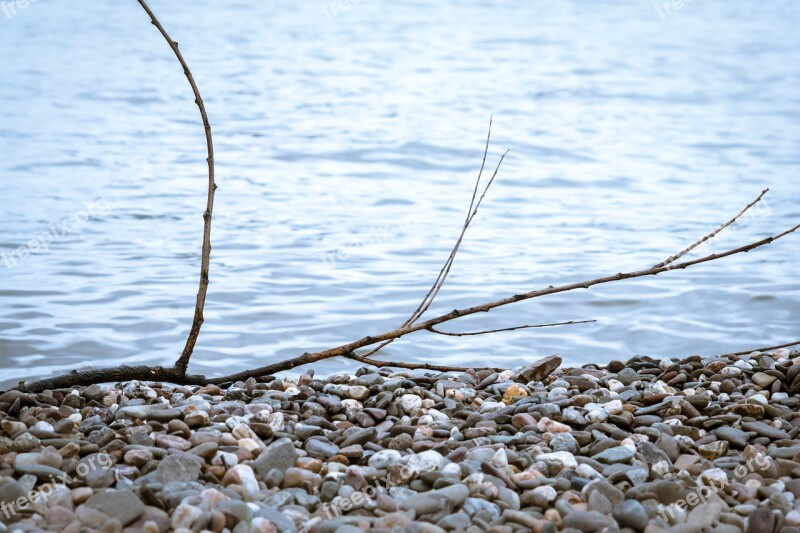 Pebble Branch Beach Stones Flotsam And Jetsam