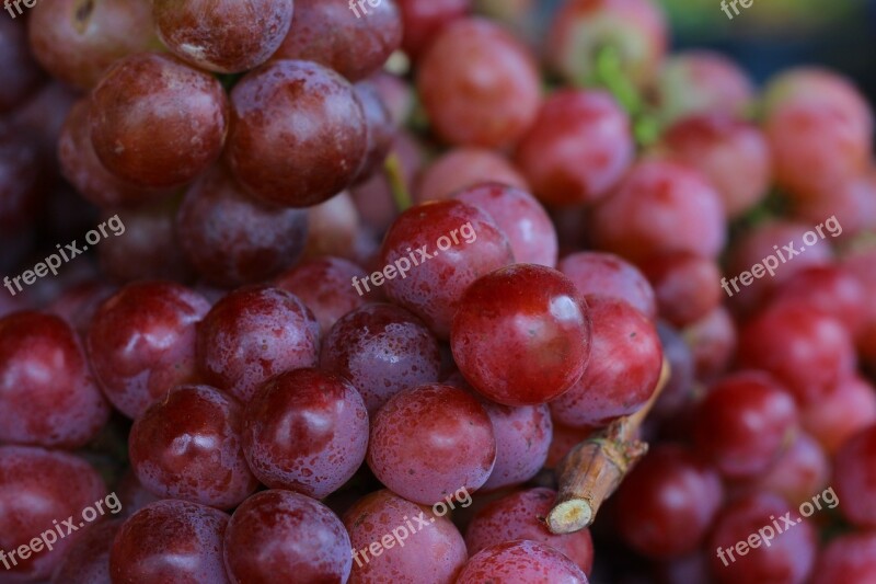 Grapes Gallery Fruit Yellow Food