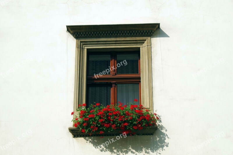 Window Shutters Glass Flowers Window Sill