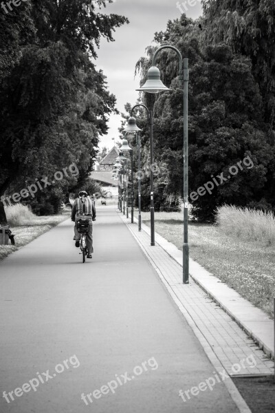 Avenue Lanterns Cyclists Away Road