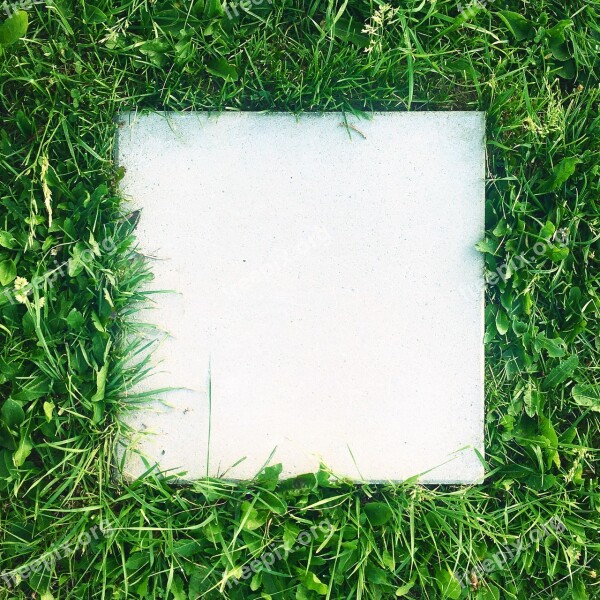 Grass Concrete Tile Green Natural