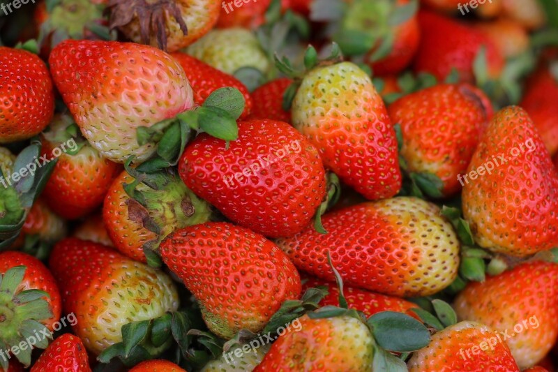 Strawberry Red Fruit Gallery Fruit Yellow