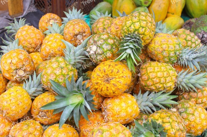 Pineapple Gallery Fruit Yellow Food