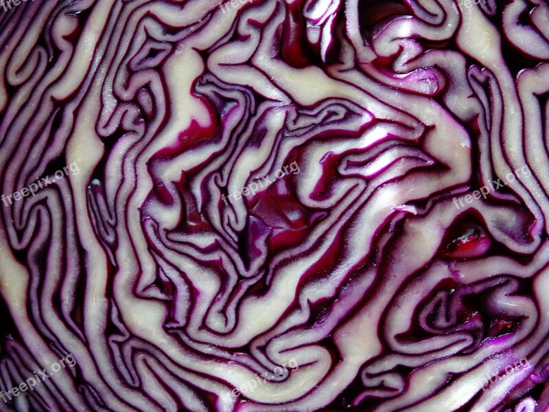 Fruits And Vegetables Cabbage Crauto Red Free Photos