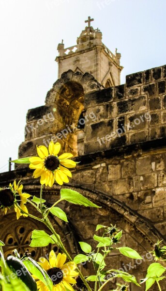 Sunflower Yard Summer Garden Monastery