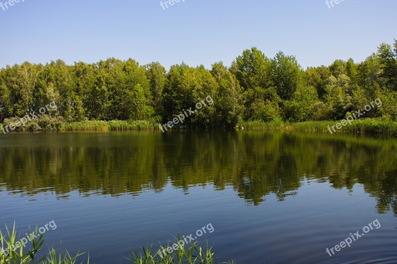 Nature Summer Green Sky Belarus