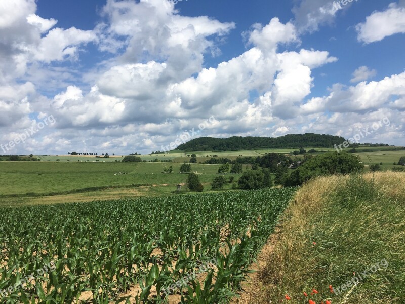 Corn Clouds Sky Field Cornfield