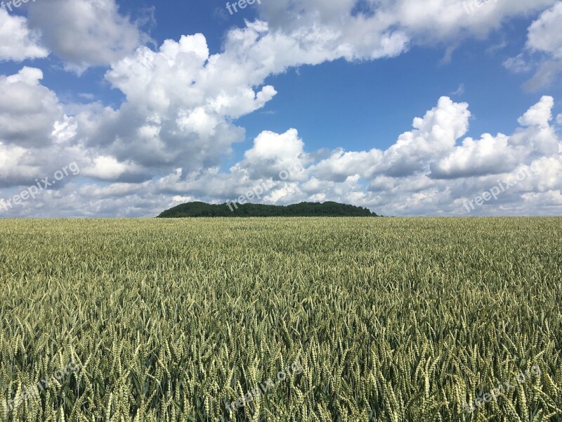 Field Fields Sky Clouds Mountain