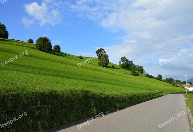 Allgäu Panorama Reported Trees Hut