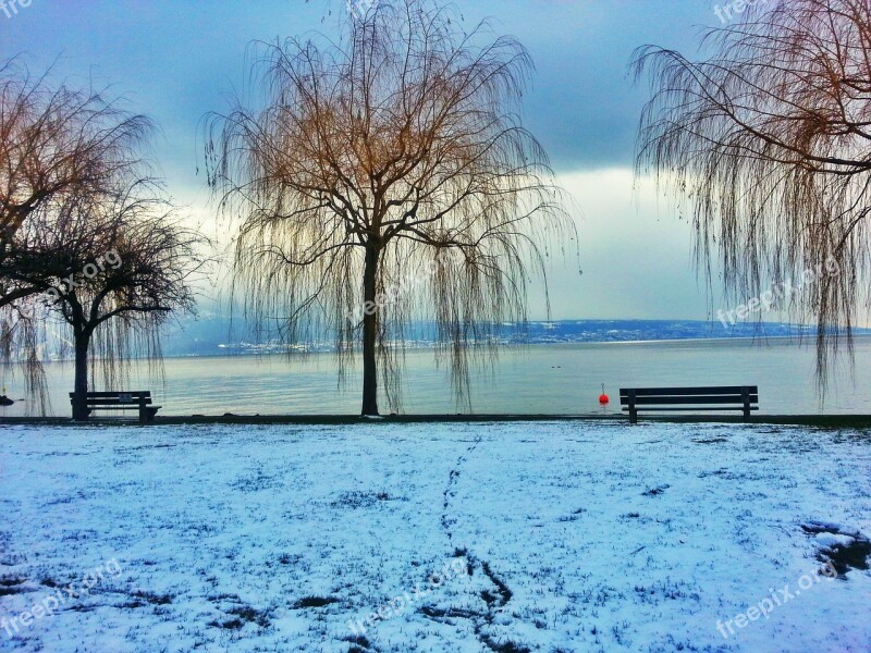 Lake Winter Landscape Snowy Landscape Nature Bench