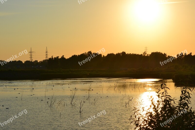 River Nature Tree Forest Green