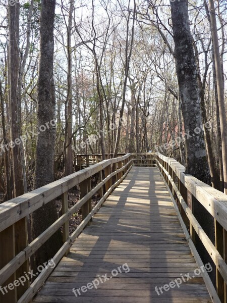 Boardwalk Path Walkway Wooden Free Photos