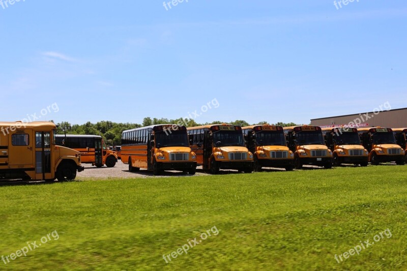 Usa School Bus School Buses America School