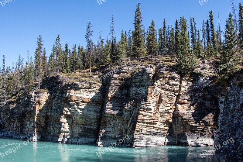 Athabasca River Cliff Forest Jasper Alberta