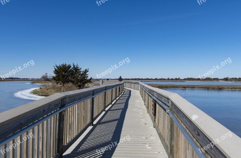 Assateague Park Ice Cold Wildlife