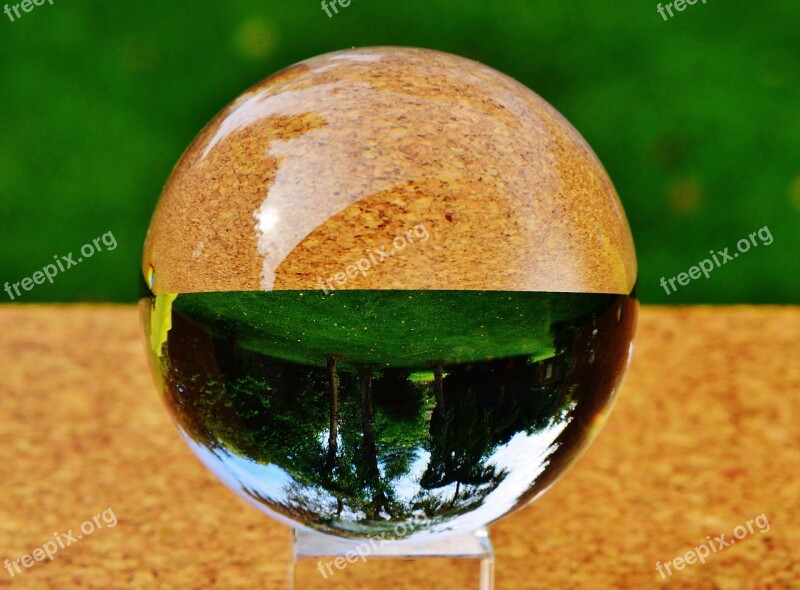 Glass Ball Ball Mirroring Meadow Trees