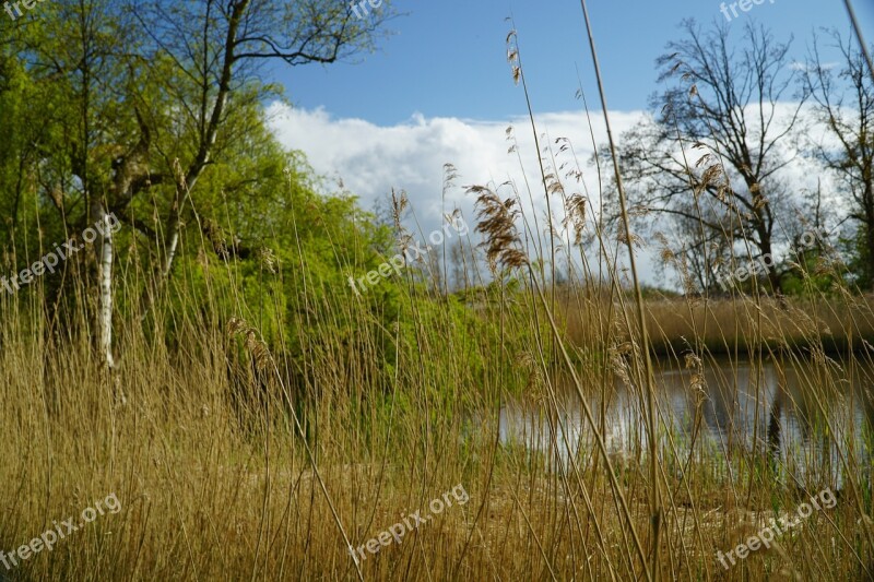 Park Water Pond Castle Pond Free Photos