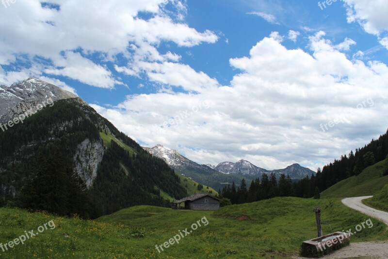 Austria Litzlalm Mountain Mountain Meadow Alm