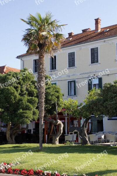 Palm Croatia Zadar House Free Photos