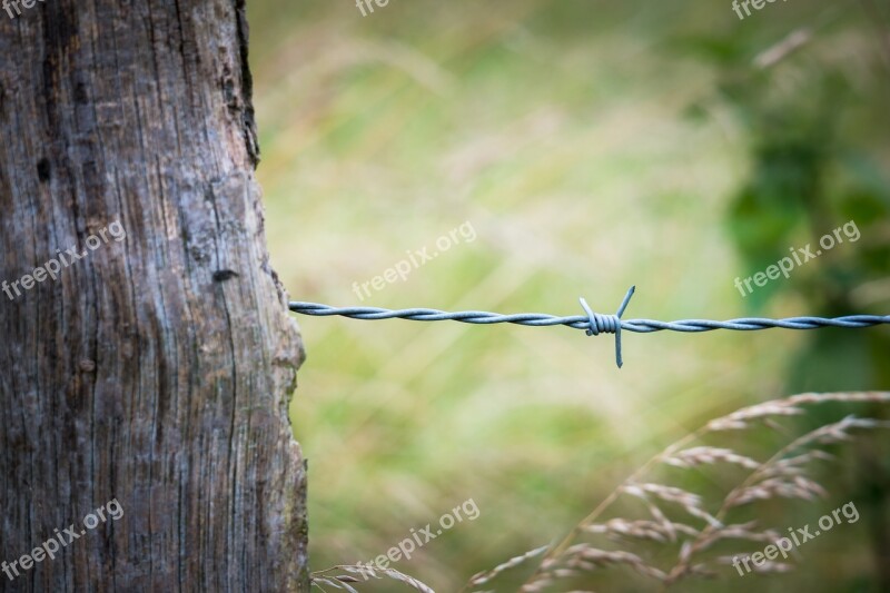 Barbed Wire Fence Pile Fence Post Wire