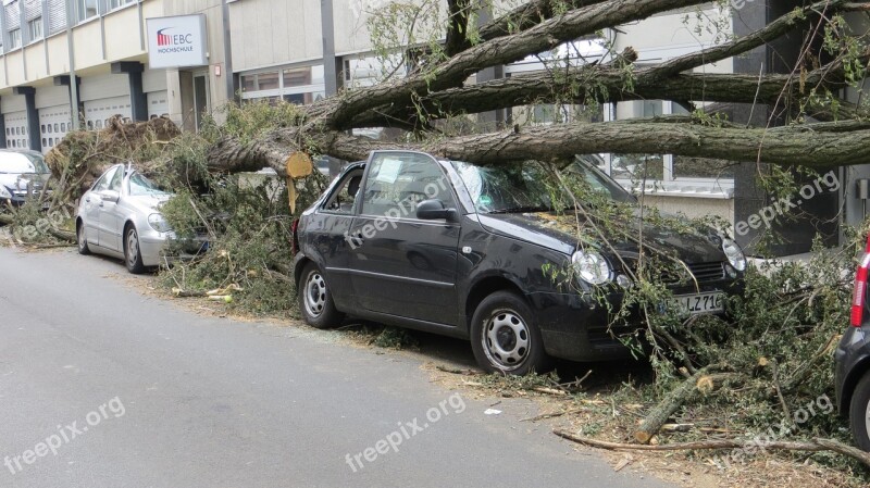 Storm Damage Fallen Tree Font Font Class Danger Font Font Free Photos