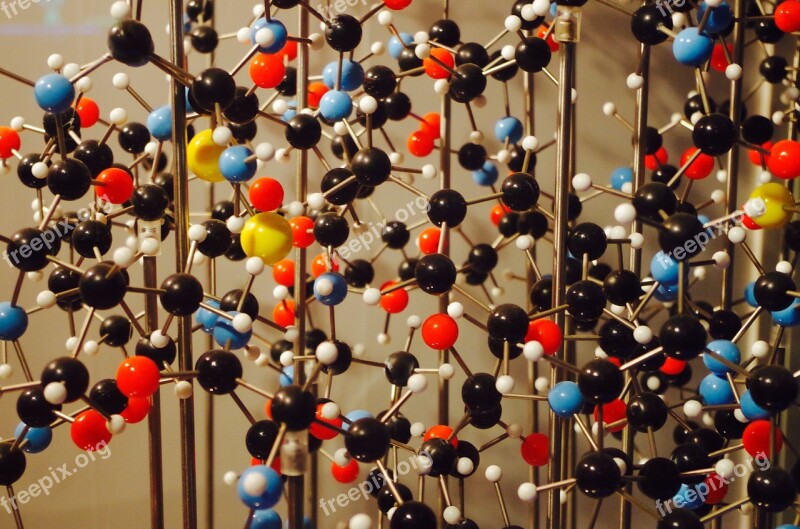 Science Molecular Museum Net Model