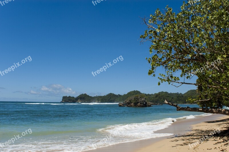 Tropic Beach Ocean Tropical Tropical Beach