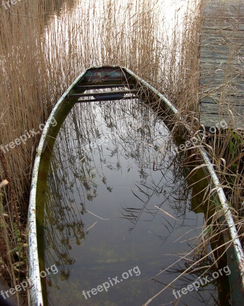 Boat Rowing Boat Fishing Boat Reed Reed Plume