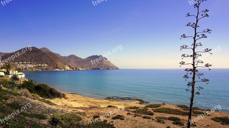 Sea Beach Edge Of The Sea Landscape Sand