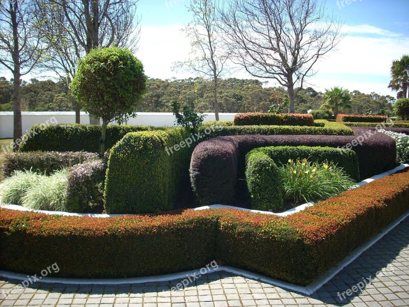 Garden Hedge Topiary Gardening Free Photos