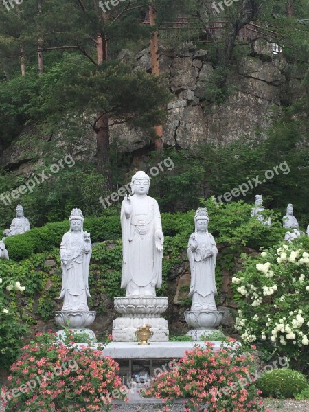 Buddha Gangwon Foothills The Hermitage Free Photos