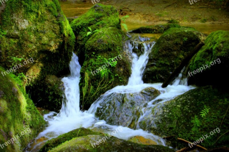 Water Stones Moss Bemoost Bach