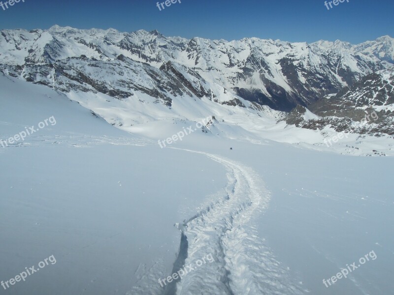 Gran Paradiso Mountains Ski Mountaineering Alps Free Photos