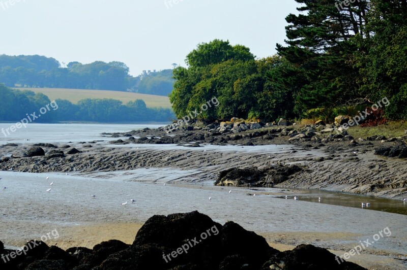 River Pebbles Rock Shore Water