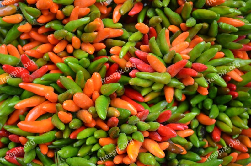 Peppers Vegetable Paprika Italy Taste