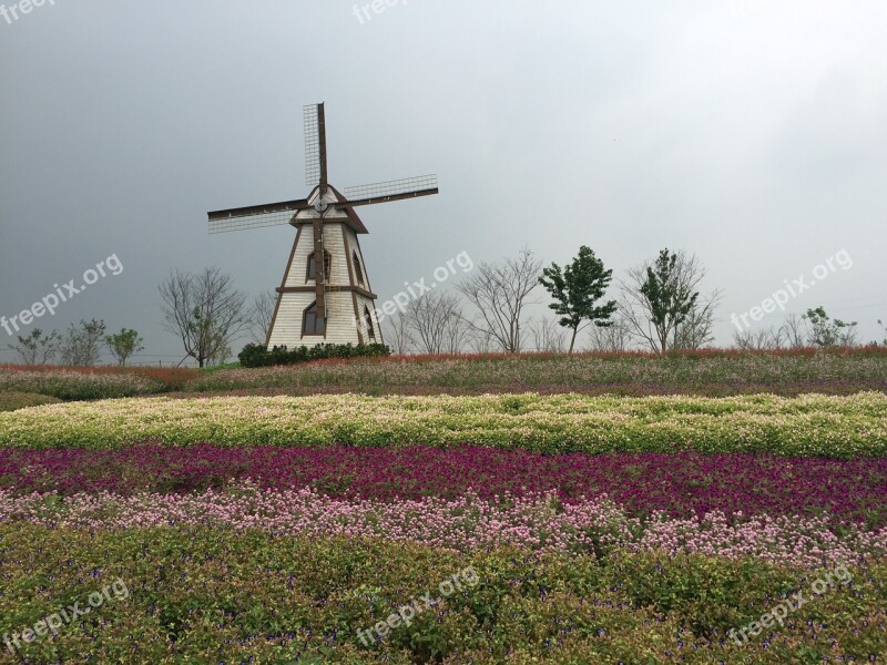 Yangzhou Wedding Photography Scene Windmill Flowers Free Photos