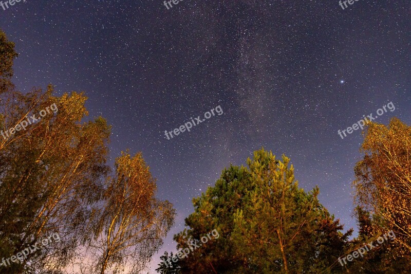 Night Celebrities Sky Autumn Landscape