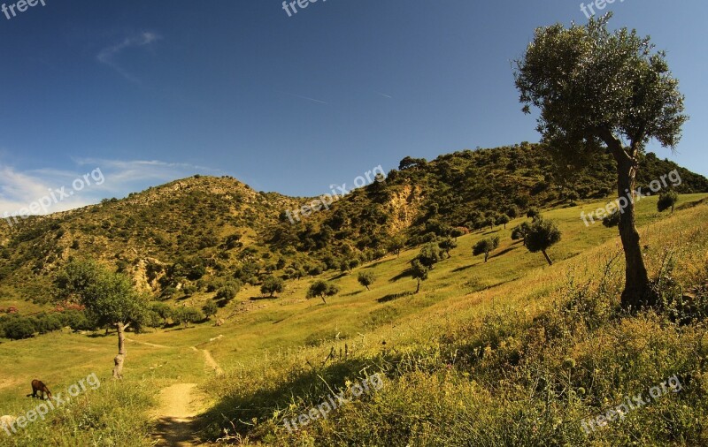 South Arid Landscape South Of Spain Mountains Montes