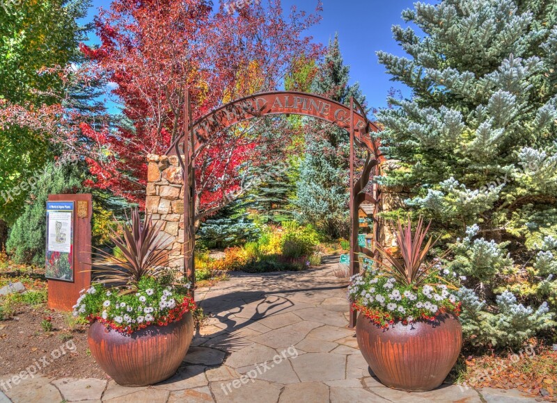 Fall Foliage Vail Colorado Betty Ford Gardens