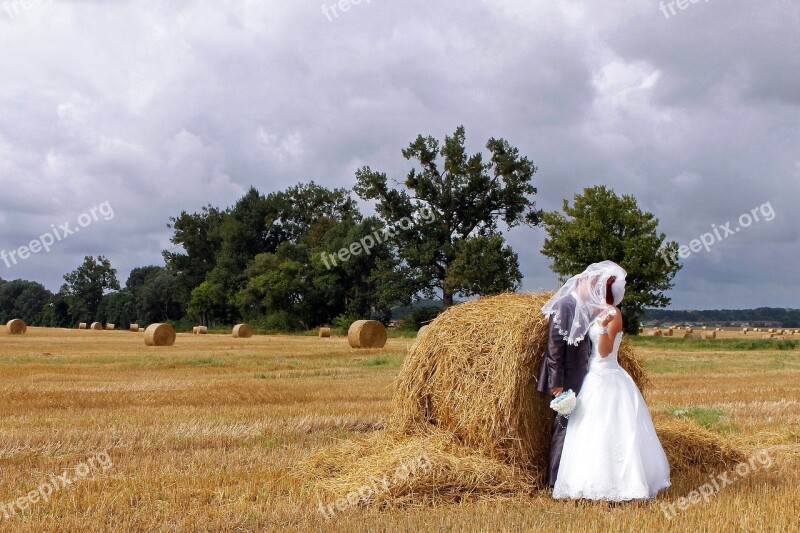 Wedding Autumn Field Bride Love