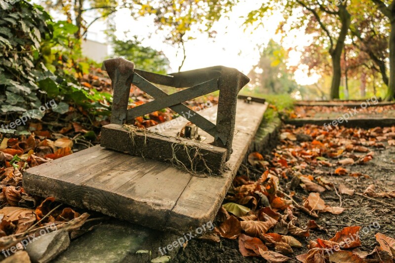 Park Bench Autumn Melancholic Leaves Fall Foliage