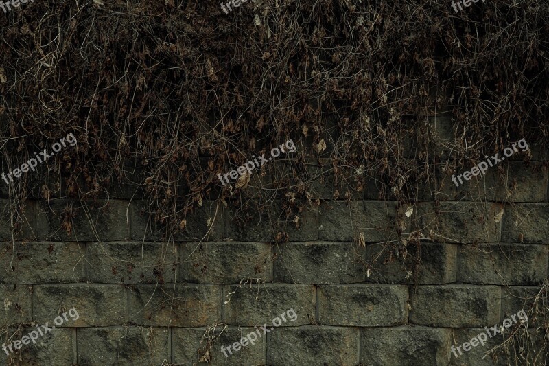 Wall Damme Stone Wall Background Stone