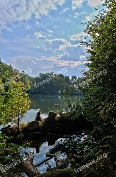 Lake Bear Schlössle Bear Lake Nature Stuttgart